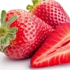 Fruit Seeds Fragaria ananassa