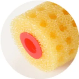 R2004-057018_head _.jpg