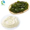 Natural Extract Brown Fucoxanthin Algae