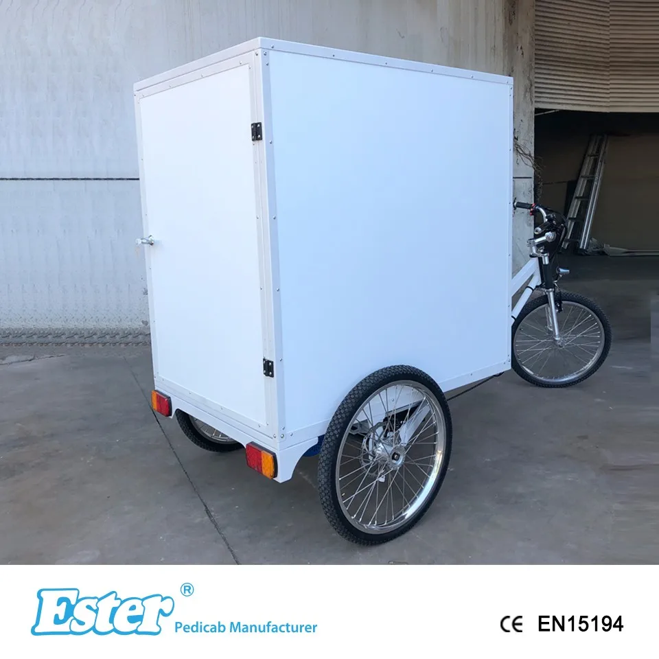 Strong Enclosed Box Cargo Tricycle,Express Mail Delivery Tricycle Buy