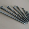 Intlevel Medium Carbon Steel iron nail /steel nail/common nail