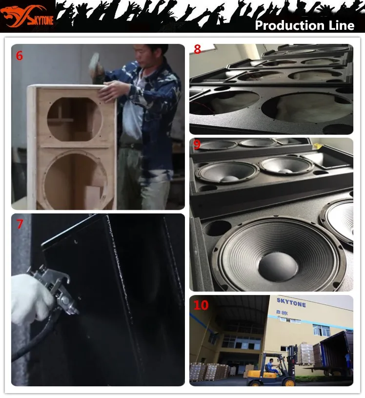 Music Studio Equipment China Subwoofers Skytone Stx818s Dj Sound Box