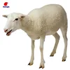 /product-detail/life-size-resin-sheep-figure-statue-60064372326.html