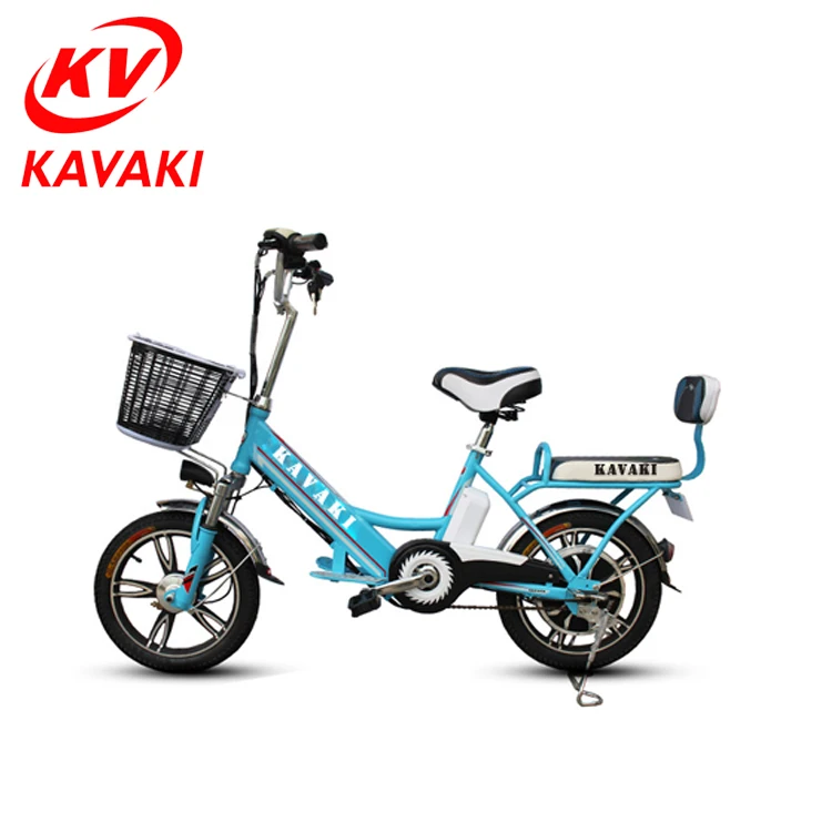 electric bike for 2 adults