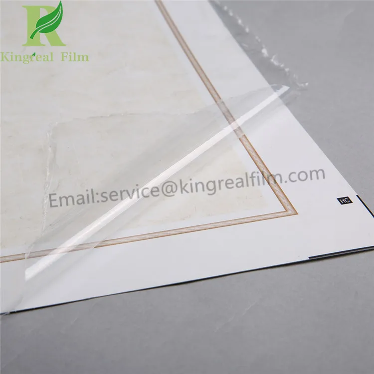 protective film18112701