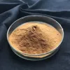 Good price dandelion flower extract dandelion root powder dandelion extract