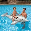 New creative amusement park products Gray Dolphin mount swimming inflatable toys wholesale inflatable pool toy