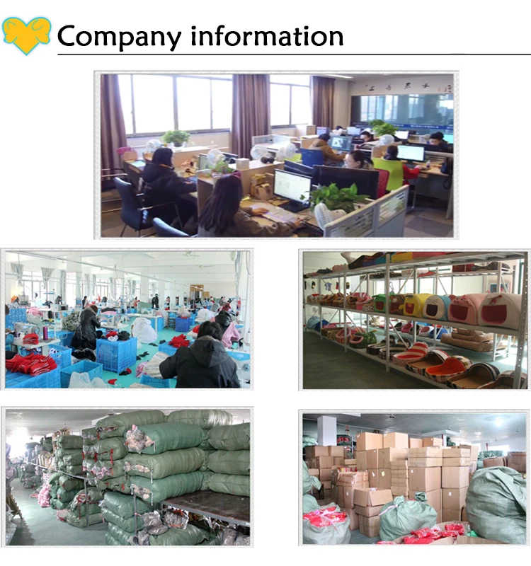 company imformation.jpg