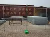 American hot sale Best price galvanized steel pipe chain link fence and chain link fencing materials