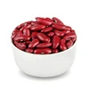 Factory wholesale light red kidney beans with good price