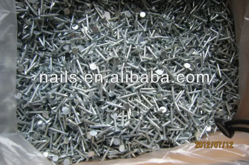 High Quality Zinc Galvanized Nails With Large Head Manufacturer Buy