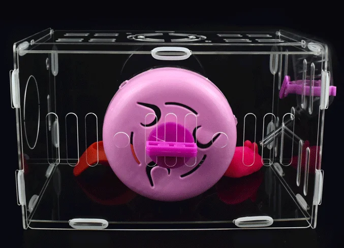 hamster cage (4).png