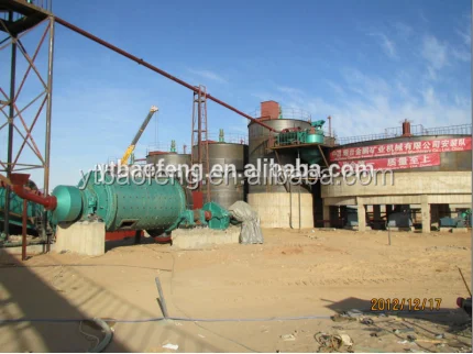 
Professional EPC contractor for gold leaching plant in Zimbabwe 
