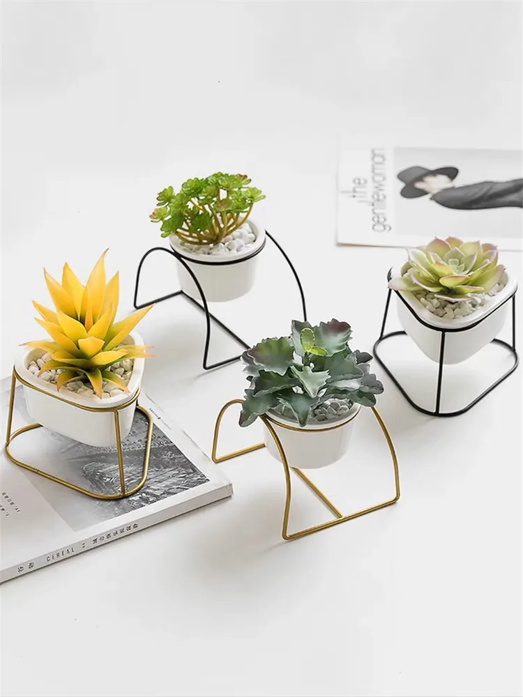 Triangle Shape Small Mini Succulent Plants Ceramic White Pot With ...