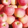 New Crop Fresh Apple with Good Price