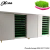 green grass malting machine/animal fodder making barley breeding machine/ chicken feed processing room