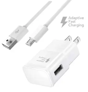 Voltage Portable USB Wall Charger