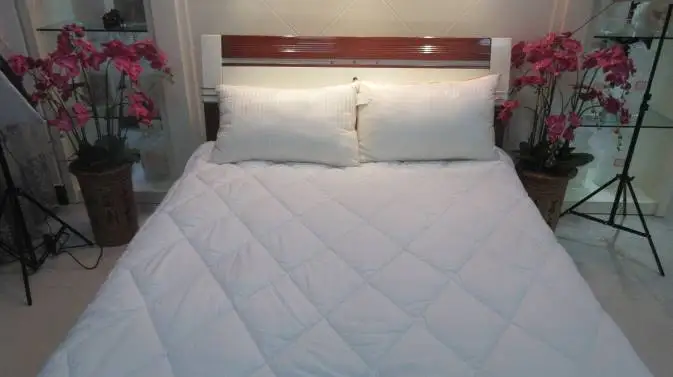 
100% Mulberry Silk Filling Pillow with Quilted Cotton Shell Silk pillowcase 