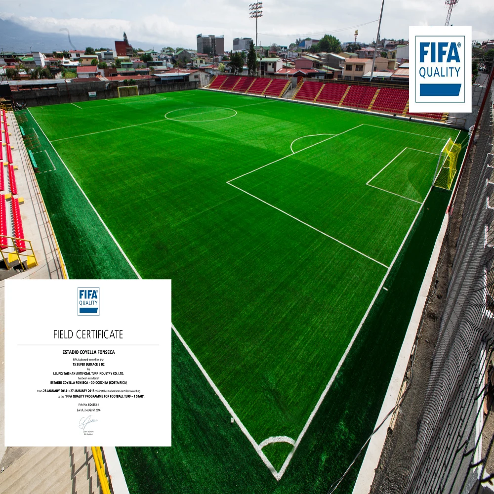 Estadio COYELLA FONSECA