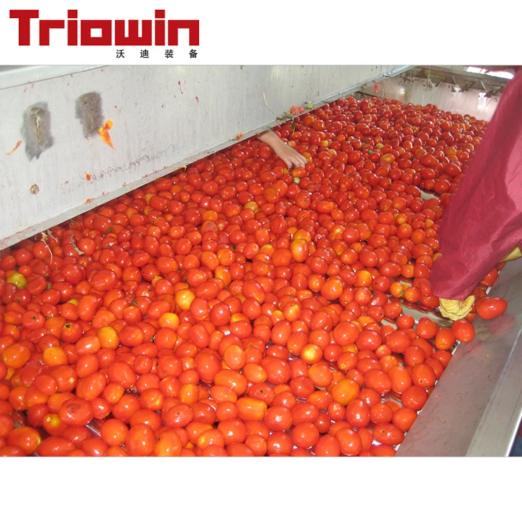 tomato paste making machine