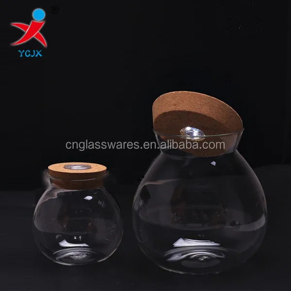 Clear Glass Globe Jar Terrarium For Mini Landscape With Led Light In