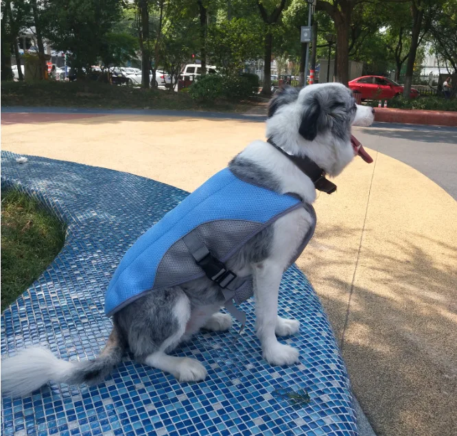 

Wholesale Customized New Design Summer Dog Cooling Vest Coat Summer Cooling Pet Clothes, Blue,orange,pink