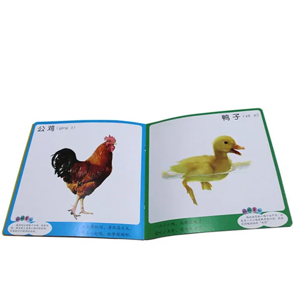 
Chinese Pinyin pronunciation books for foreign learners 