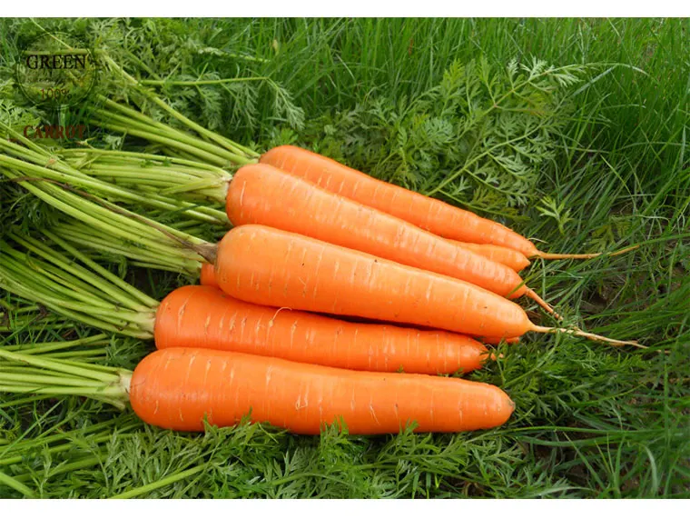 eu certified fresh delicious vitamins carrots