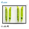 Manual Screen Self Locking Wall and Ceiling Pull Down Projection Screen Indoor Cinema Projector Screen