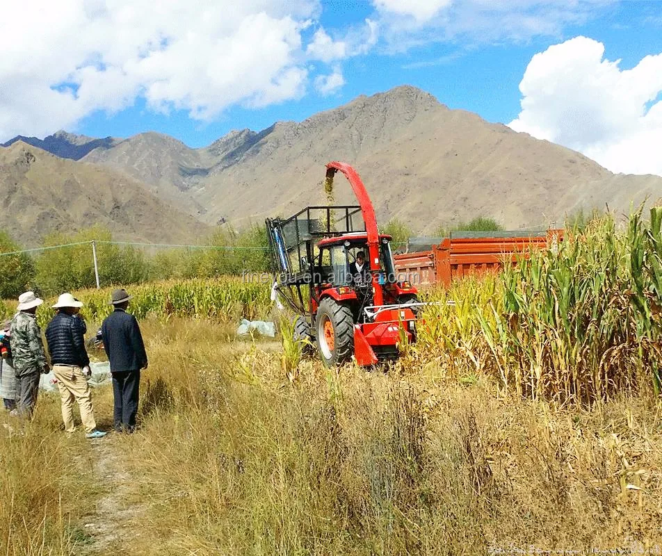 silage  harvest header