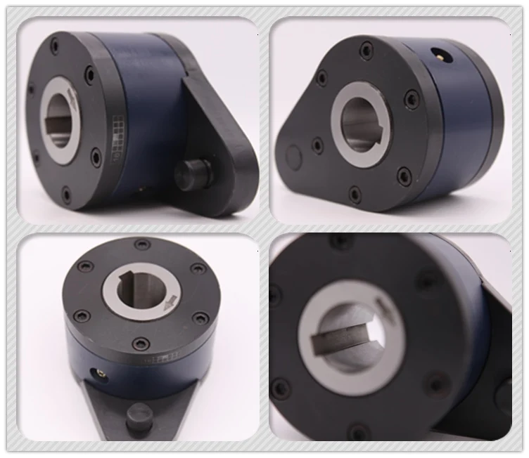 GFR F2F3 One-Way Cam Clutch Bearing Conveyor Backstop