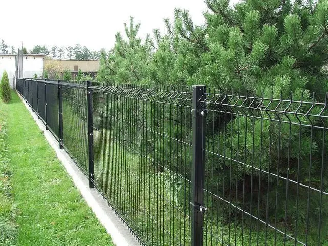Wire mesh fence 031