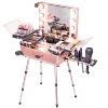 Professional Artist Makeup Case with Lights Aluminum Trolley Train Beauty Case with LED Mirror KC-210