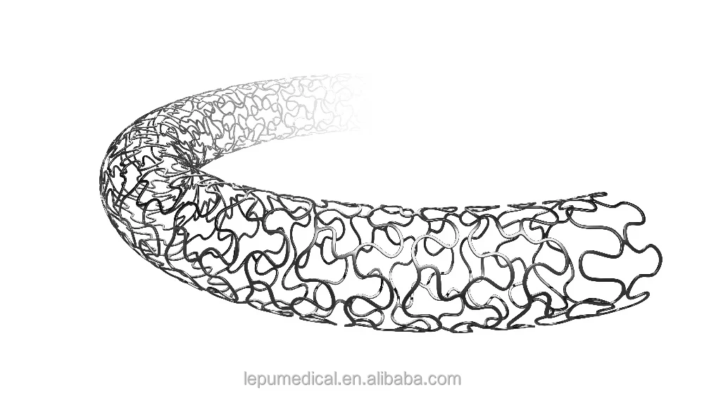 
Nano Polymer free Sirolimus eluting Coronary Stent System 