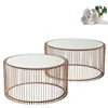 Nordic Metal Wire Copper Painting Nesting Round End Coffee Table with Glass Top Set
