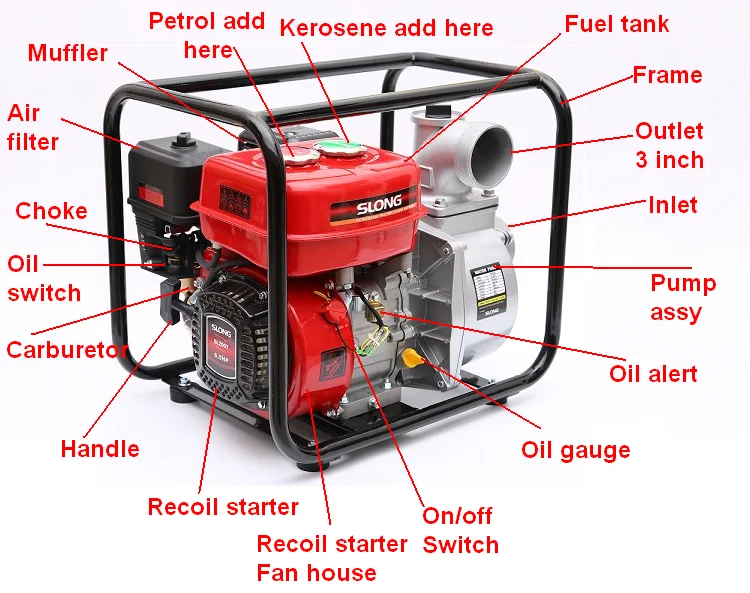 paste-pic-dp_uuid_17jhv