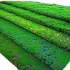 Micro landscape plants artificial green moss for sale