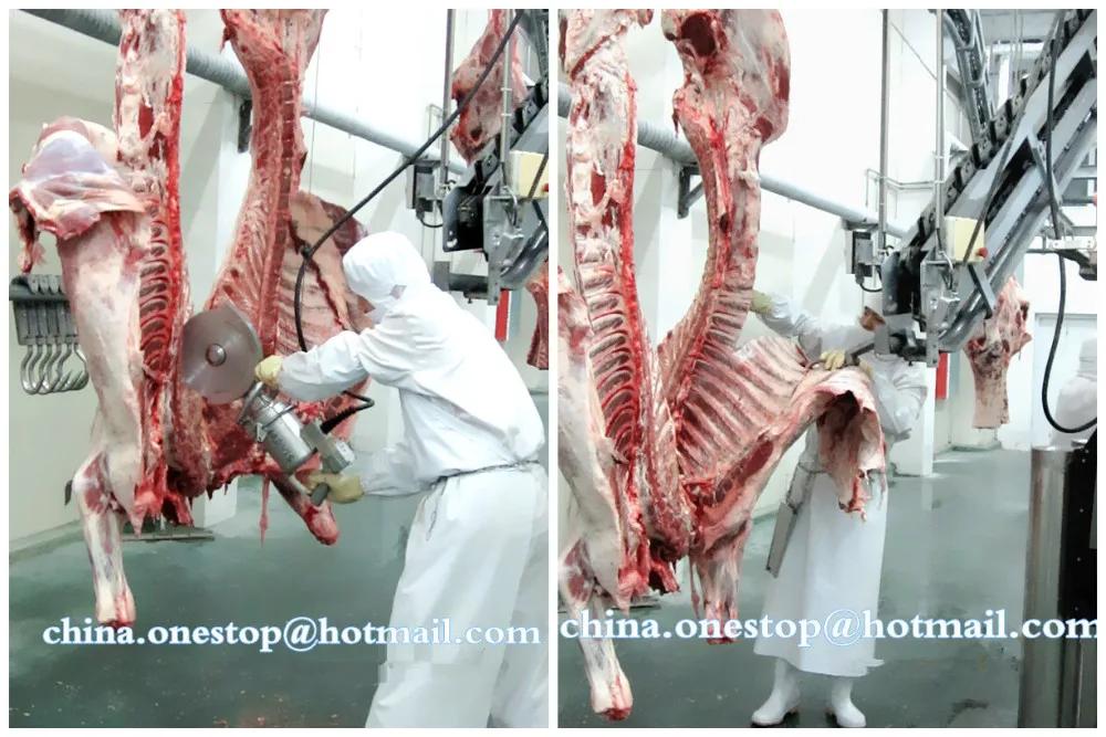 Meat processing equipment machines Abattoir slaughterhouse cattle and pig slaughtering line