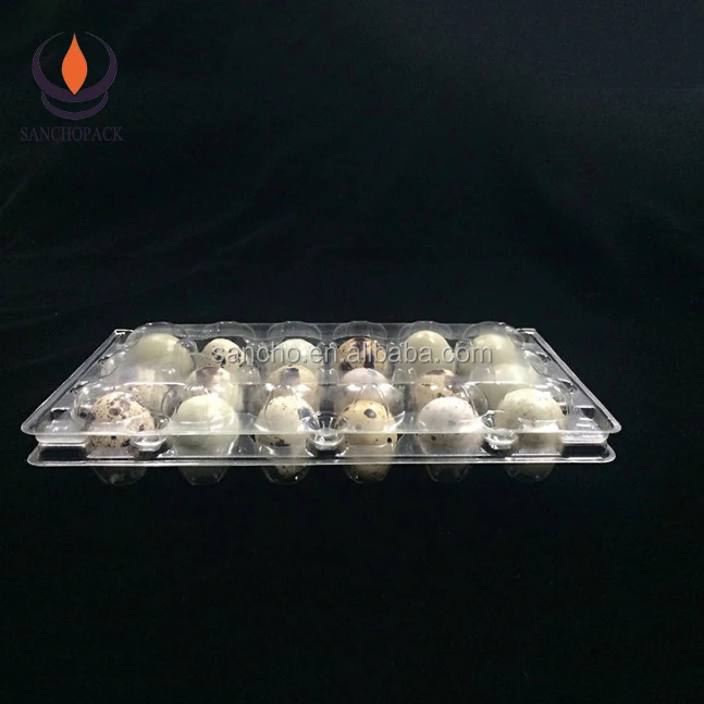 
Plastic wholesale quail egg packing cartons 