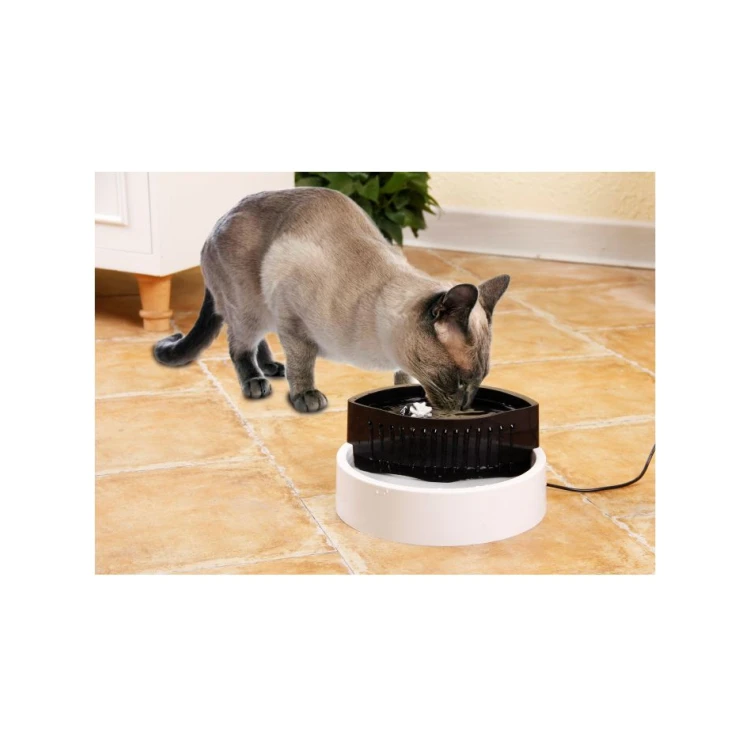 automatic dog feeder and waterer