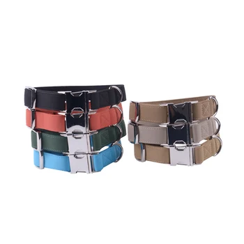 greyhound dog collars