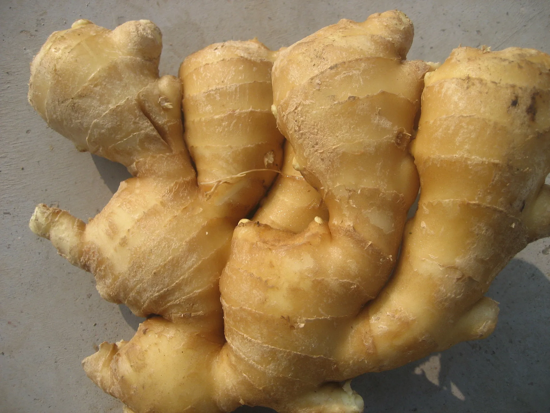 1kg Fresh Ginger Price Market Price For Fresh Ginger Buyers Of Fresh