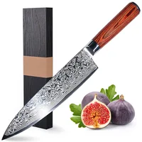 

Professional 8-Inch Damascus Steel Chef Knife with 67-Layer Steel Blade with Paka wood Handle