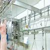 Good manufacturer of pig slaughter and processing line equipments
