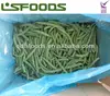 2013 new crop IQF frozen green beans