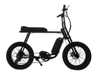 

Hot sale Mario Retro 20" 48v 500w/750w super power brushless Fat Tire ebike with rear motor