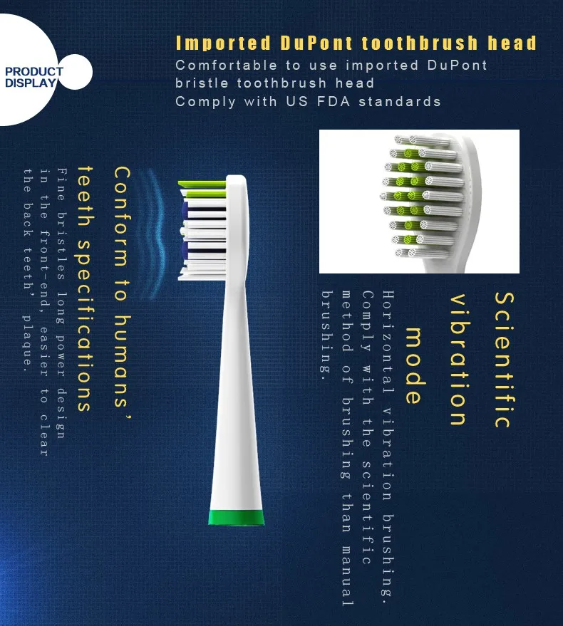 Custom Double Small White Medium Dupont Bristle Changeable Automatic Smart Sonic Electric Replacement Toothbrush Heads For Adult