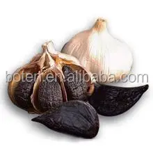 
China manufacturer Nature aged black garlic extract liquid with low price 