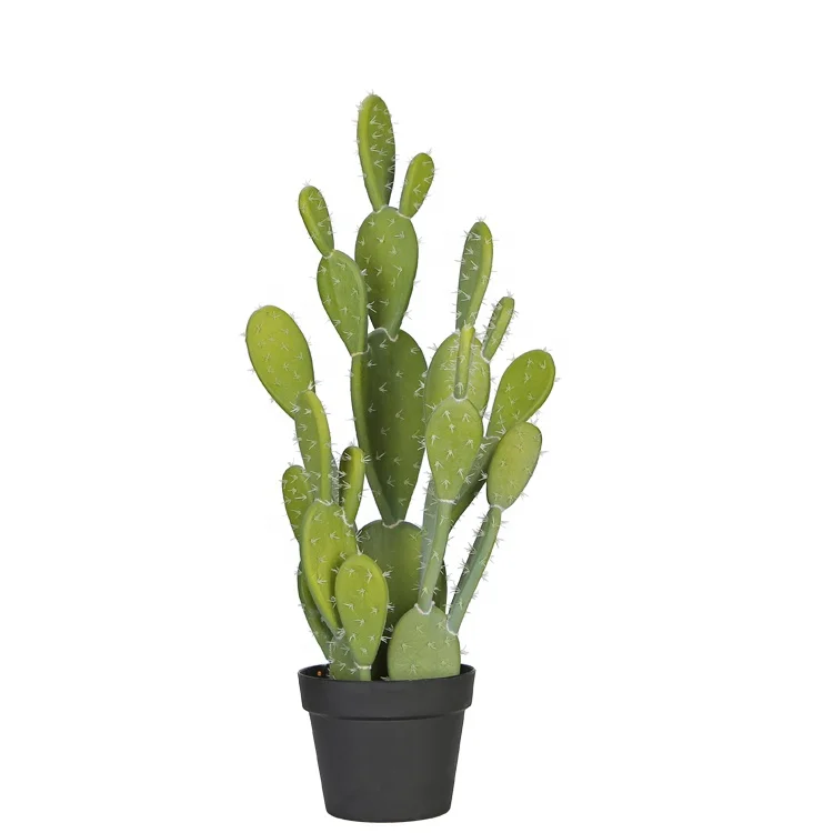 Large Cactus Plant Bonsai Cactus And Succulent Nursery Artificial