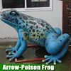 Insect Arrow-Poison Frog Model for Sale